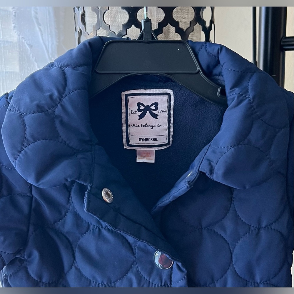 Gymboree Girls Coat - Picture 4 of 10